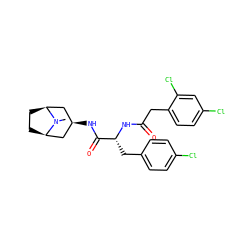 CN1[C@H]2CC[C@@H]1C[C@H](NC(=O)[C@@H](Cc1ccc(Cl)cc1)NC(=O)Cc1ccc(Cl)cc1Cl)C2 ZINC000101641460