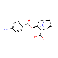 CN1[C@H]2CC[C@@H]1C[C@H](OC(=O)c1ccc(N)cc1)[C@H]2C(=O)O ZINC000036177501