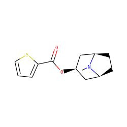 CN1[C@H]2CC[C@@H]1C[C@H](OC(=O)c1cccs1)C2 ZINC000103235780