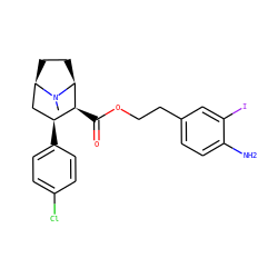 CN1[C@H]2CC[C@@H]1C[C@H](c1ccc(Cl)cc1)[C@@H]2C(=O)OCCc1ccc(N)c(I)c1 ZINC000056727908