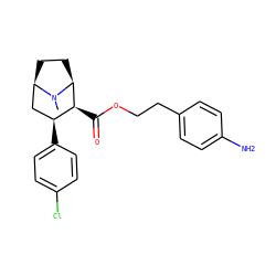 CN1[C@H]2CC[C@@H]1C[C@H](c1ccc(Cl)cc1)[C@@H]2C(=O)OCCc1ccc(N)cc1 ZINC000056727920