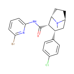 CN1[C@H]2CC[C@H]1[C@@H](C(=O)Nc1cccc(Br)n1)[C@@H](c1ccc(Cl)cc1)C2 ZINC000254119854