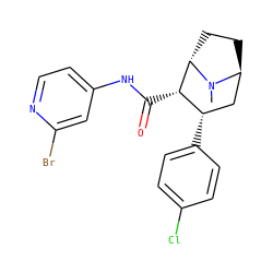 CN1[C@H]2CC[C@H]1[C@@H](C(=O)Nc1ccnc(Br)c1)[C@@H](c1ccc(Cl)cc1)C2 ZINC000261089445