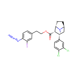 CN1[C@H]2CC[C@H]1[C@@H](C(=O)OCCc1ccc(N=[N+]=[N-])c(I)c1)[C@@H](c1ccc(Cl)c(Cl)c1)C2 ZINC000261186970