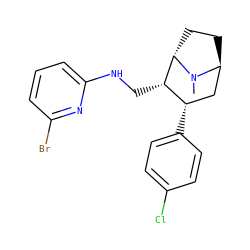 CN1[C@H]2CC[C@H]1[C@@H](CNc1cccc(Br)n1)[C@@H](c1ccc(Cl)cc1)C2 ZINC000254120839