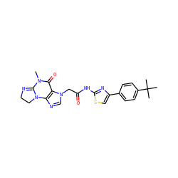 CN1C(=O)c2c(ncn2CC(=O)Nc2nc(-c3ccc(C(C)(C)C)cc3)cs2)N2CCN=C12 ZINC000138175759