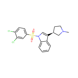 CN1CC[C@H](c2cn(S(=O)(=O)c3ccc(Cl)c(Cl)c3)c3ccccc23)C1 ZINC000003976210