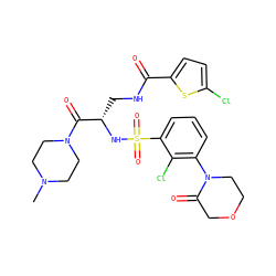 CN1CCN(C(=O)[C@H](CNC(=O)c2ccc(Cl)s2)NS(=O)(=O)c2cccc(N3CCOCC3=O)c2Cl)CC1 ZINC000103240202