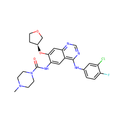 CN1CCN(C(=O)Nc2cc3c(Nc4ccc(F)c(Cl)c4)ncnc3cc2O[C@H]2CCOC2)CC1 ZINC000103253651