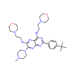 CN1CCN(c2nc3nc(-c4ccc(C(C)(C)C)cc4)nc(NCCN4CCOCC4)c3nc2NCCN2CCOCC2)CC1 ZINC000149584852