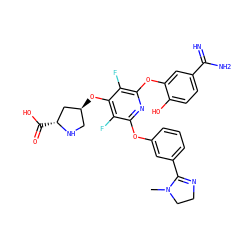 CN1CCN=C1c1cccc(Oc2nc(Oc3cc(C(=N)N)ccc3O)c(F)c(O[C@H]3CN[C@H](C(=O)O)C3)c2F)c1 ZINC000027102458