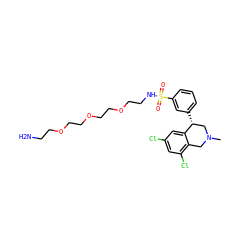 CN1Cc2c(Cl)cc(Cl)cc2[C@H](c2cccc(S(=O)(=O)NCCOCCOCCOCCN)c2)C1 ZINC000167527558