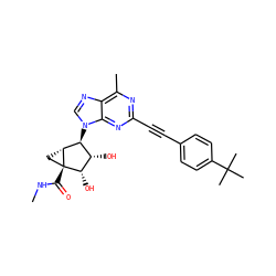 CNC(=O)[C@@]12C[C@@H]1[C@@H](n1cnc3c(C)nc(C#Cc4ccc(C(C)(C)C)cc4)nc31)[C@H](O)[C@@H]2O ZINC000653853274