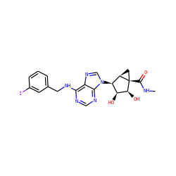 CNC(=O)[C@]12C[C@@H]1[C@H](n1cnc3c(NCc4cccc(I)c4)ncnc31)[C@H](O)[C@@H]2O ZINC000100916097