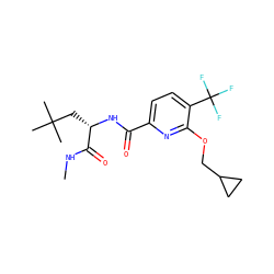 CNC(=O)[C@H](CC(C)(C)C)NC(=O)c1ccc(C(F)(F)F)c(OCC2CC2)n1 ZINC000207736028