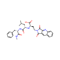 CNC(=O)[C@H](Cc1ccccc1)NC(=O)[C@H](CC(C)C)N[C@H](CCN1C(=O)c2cc3ccccc3nc2C1=O)C(=O)O ZINC000027734167