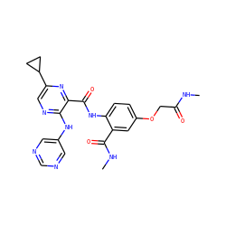 CNC(=O)COc1ccc(NC(=O)c2nc(C3CC3)cnc2Nc2cncnc2)c(C(=O)NC)c1 ZINC000169701931