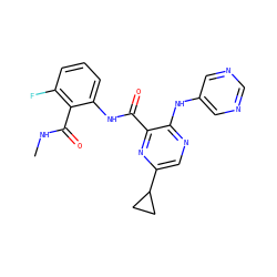CNC(=O)c1c(F)cccc1NC(=O)c1nc(C2CC2)cnc1Nc1cncnc1 ZINC000169701917