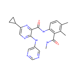 CNC(=O)c1c(NC(=O)c2nc(C3CC3)cnc2Nc2cncnc2)ccc(C)c1C ZINC000169701881
