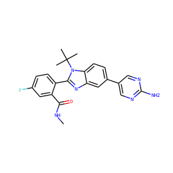 CNC(=O)c1cc(F)ccc1-c1nc2cc(-c3cnc(N)nc3)ccc2n1C(C)(C)C ZINC000143821353