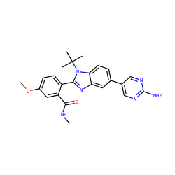 CNC(=O)c1cc(OC)ccc1-c1nc2cc(-c3cnc(N)nc3)ccc2n1C(C)(C)C ZINC000143907670
