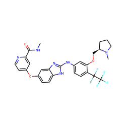 CNC(=O)c1cc(Oc2ccc3[nH]c(Nc4ccc(C(F)(F)C(F)(F)F)c(OC[C@H]5CCCN5C)c4)nc3c2)ccn1 ZINC000006716045