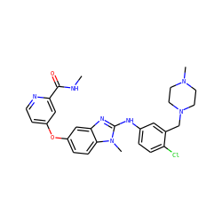 CNC(=O)c1cc(Oc2ccc3c(c2)nc(Nc2ccc(Cl)c(CN4CCN(C)CC4)c2)n3C)ccn1 ZINC000022878358