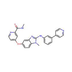 CNC(=O)c1cc(Oc2ccc3c(c2)nc(Nc2cccc(-c4ccncc4)c2)n3C)ccn1 ZINC000040409079