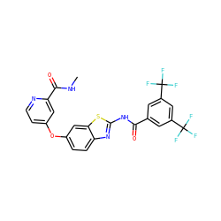 CNC(=O)c1cc(Oc2ccc3nc(NC(=O)c4cc(C(F)(F)F)cc(C(F)(F)F)c4)sc3c2)ccn1 ZINC000653854021