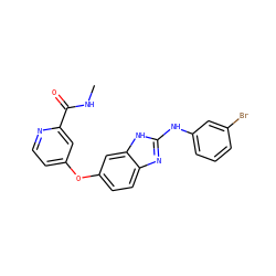CNC(=O)c1cc(Oc2ccc3nc(Nc4cccc(Br)c4)[nH]c3c2)ccn1 ZINC000042888191