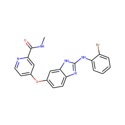 CNC(=O)c1cc(Oc2ccc3nc(Nc4ccccc4Br)[nH]c3c2)ccn1 ZINC000040421798
