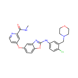 CNC(=O)c1cc(Oc2ccc3oc(Nc4ccc(Cl)c(CN5CCOCC5)c4)nc3c2)ccn1 ZINC000014965303