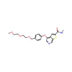 CNC(=O)c1cc2c(Oc3ccc(COCCOCCOC)cc3)cncc2s1 ZINC000013864453