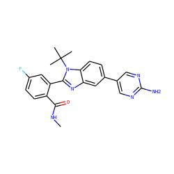 CNC(=O)c1ccc(F)cc1-c1nc2cc(-c3cnc(N)nc3)ccc2n1C(C)(C)C ZINC000143897458