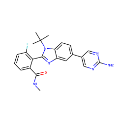 CNC(=O)c1cccc(F)c1-c1nc2cc(-c3cnc(N)nc3)ccc2n1C(C)(C)C ZINC000143821103