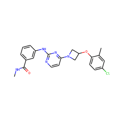 CNC(=O)c1cccc(Nc2nccc(N3CC(Oc4ccc(Cl)cc4C)C3)n2)c1 ZINC000118584046