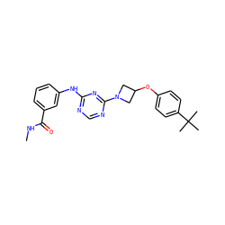 CNC(=O)c1cccc(Nc2ncnc(N3CC(Oc4ccc(C(C)(C)C)cc4)C3)n2)c1 ZINC001772571716