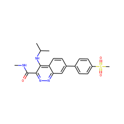 CNC(=O)c1nnc2cc(-c3ccc(S(C)(=O)=O)cc3)ccc2c1NC(C)C ZINC000095592180