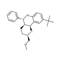 CNC[C@H]1CC[C@@H]2[C@H](O1)c1cc(C(C)(C)C)ccc1N[C@H]2c1ccccc1 ZINC000049110715