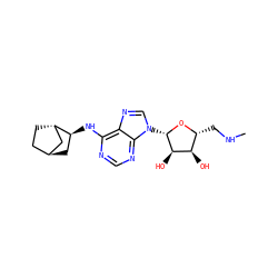 CNC[C@H]1O[C@@H](n2cnc3c(N[C@H]4C[C@H]5CC[C@H]4C5)ncnc32)[C@H](O)[C@@H]1O ZINC000101493962