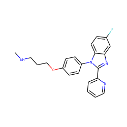CNCCCOc1ccc(-n2c(-c3ccccn3)nc3cc(F)ccc32)cc1 ZINC000040980519