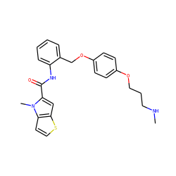 CNCCCOc1ccc(OCc2ccccc2NC(=O)c2cc3sccc3n2C)cc1 ZINC001772606570