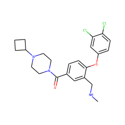 CNCc1cc(C(=O)N2CCN(C3CCC3)CC2)ccc1Oc1ccc(Cl)c(Cl)c1 ZINC000029131169