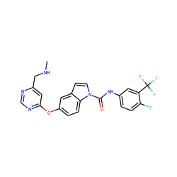 CNCc1cc(Oc2ccc3c(ccn3C(=O)Nc3ccc(F)c(C(F)(F)F)c3)c2)ncn1 ZINC000140241608