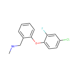 CNCc1ccccc1Oc1ccc(Cl)cc1F ZINC000029129738