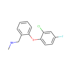 CNCc1ccccc1Oc1ccc(F)cc1Cl ZINC000029129745