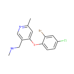 CNCc1cnc(C)cc1Oc1ccc(Cl)cc1Br ZINC000029046194