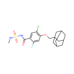 CNS(=O)(=O)NC(=O)c1cc(Cl)c(OCC23CC4CC(CC(C4)C2)C3)cc1F ZINC000225222186
