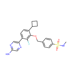 CNS(=O)(=O)c1ccc(COc2c(C3CCC3)ccc(-c3cnc(N)cn3)c2F)cc1 ZINC000212178870