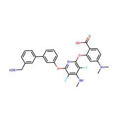 CNc1c(F)c(Oc2cccc(-c3cccc(CN)c3)c2)nc(Oc2cc(N(C)C)ccc2C(=O)O)c1F ZINC000045254786